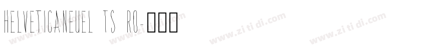 HelveticaNeuel TS Ro字体转换